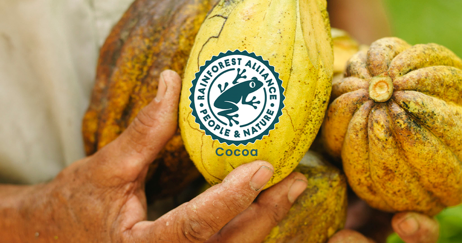 Authorable card image